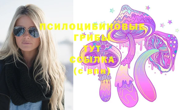 гидра Абдулино