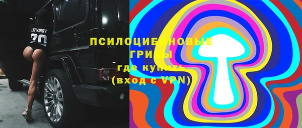 apvp Абаза