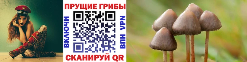 Псилоцибиновые грибы ЛСД  Киренск 