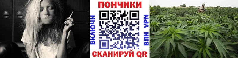 KRAKEN онион  Киренск  Шишки марихуана AK-47  сколько стоит 